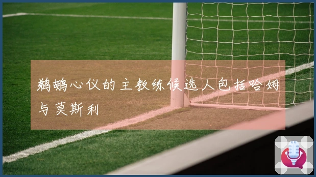 鹈鹕心仪的主教练候选人包括哈姆与莫斯利